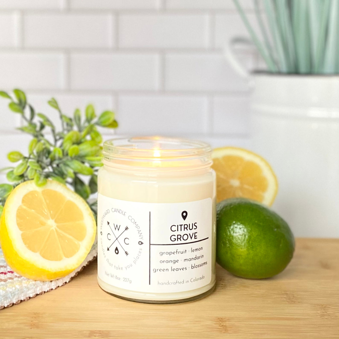 Citrus Grove Soy Candle – Westward Candle Company